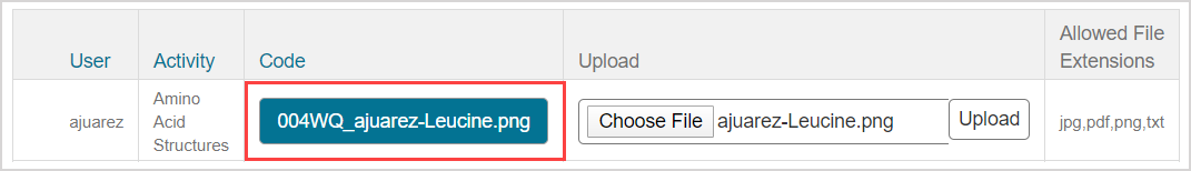 In the Code column of the Document Uploads pane, a link for uploaded document is highlighted.